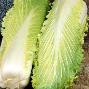 Chinese Cabbage Michihili