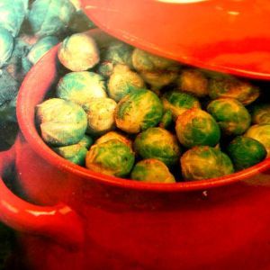Brussels Sprouts Groninger seed bag