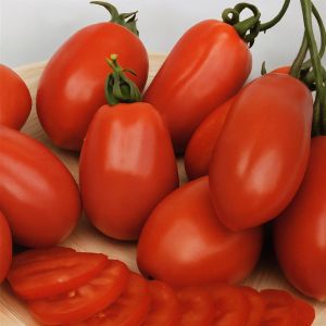 Tomato Roma