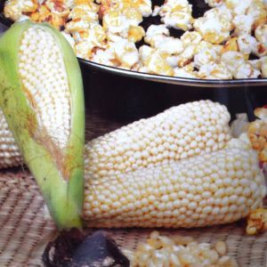Popcorn Plomik seed bag