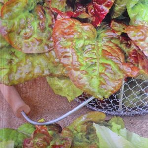 Lettuce American red-leaved seed bag