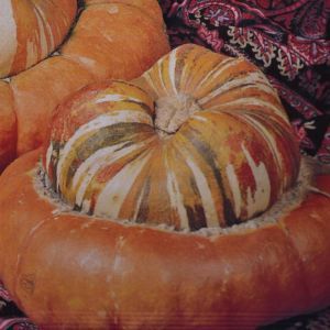 Ornamental Gourds Turkish turban  Seed bag