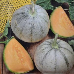 Melon Cantaloup Charentais Seed bag