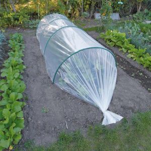 Groeifolie voor zaden transparant 2x10m 50µ