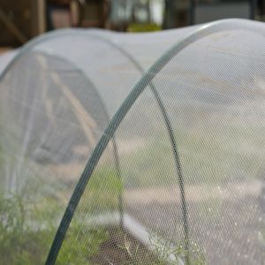 Anti-insectengaas 2.10m transparant 1x1mm 38g/m²