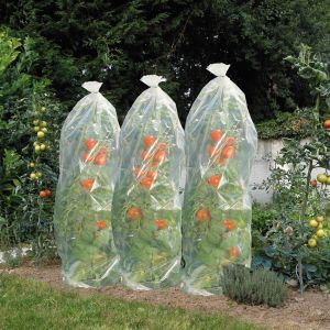 Tomatenhoezen 15mxØ50cm folie 50µ