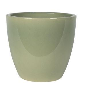 165870 Swen Glazed