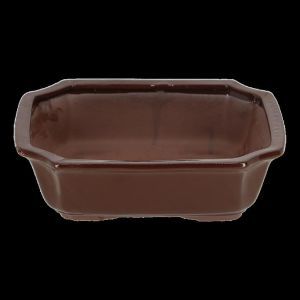 JP015 Bonsai pot rechthoekig L