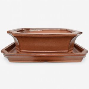 Bonsai pot red 20x15x5.5cm  (5381400) Studio White