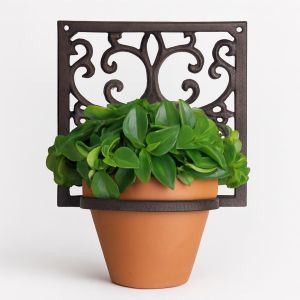 BPH14.jpg Studio White